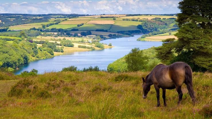 Exmoor