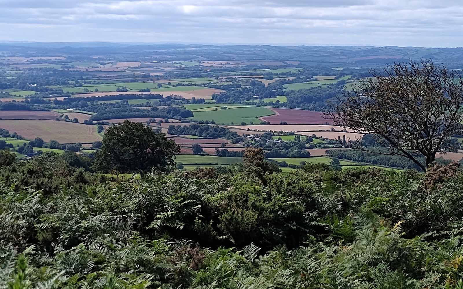 Lydeard Hill © quantockhillscom jpg.jpg