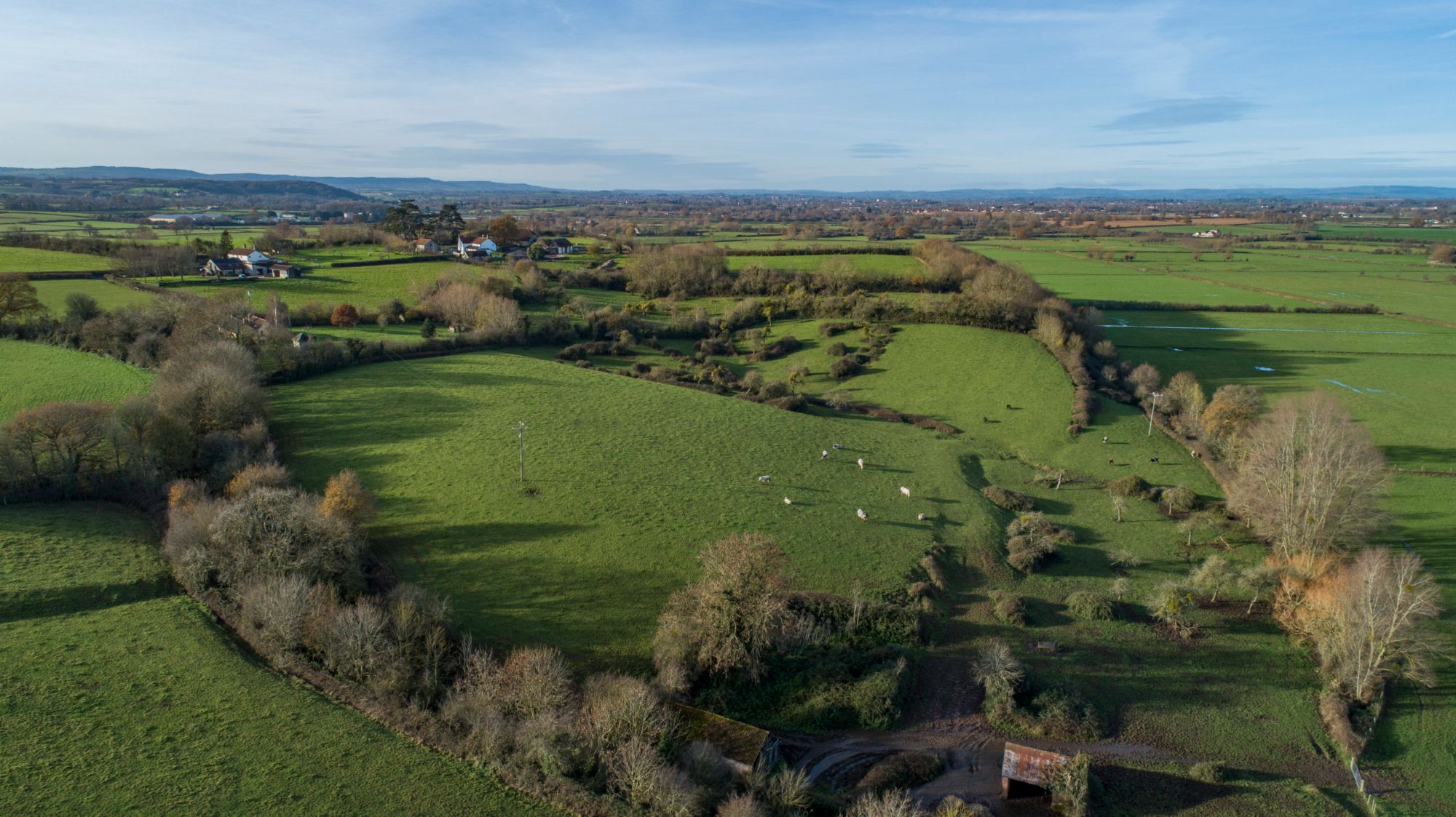 DJI_0022-scaled.jpg