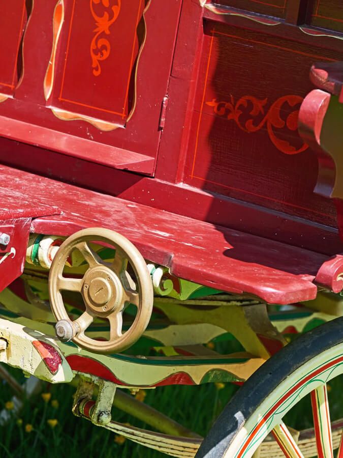 Gypsy Close Up.jpg