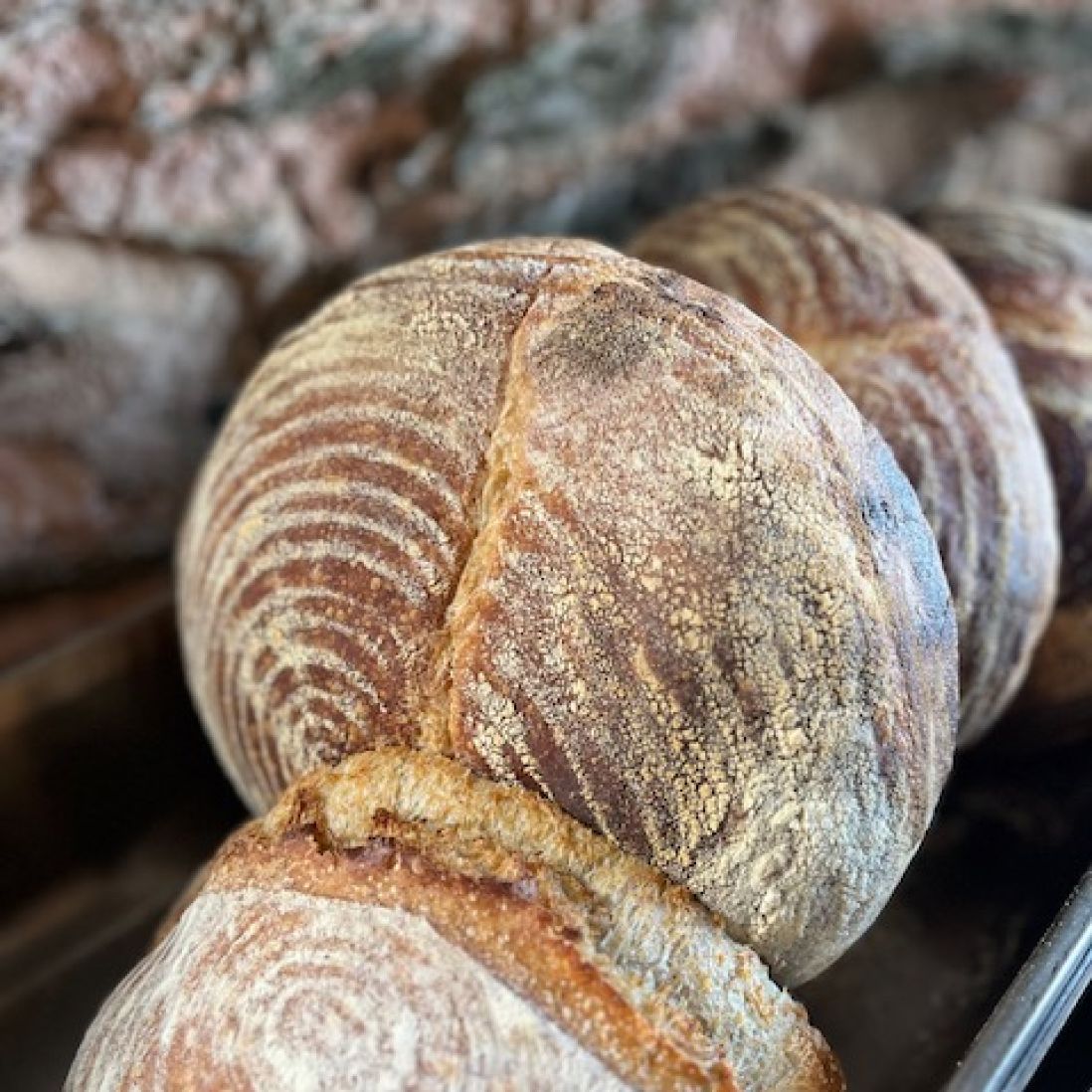 bread.jpg