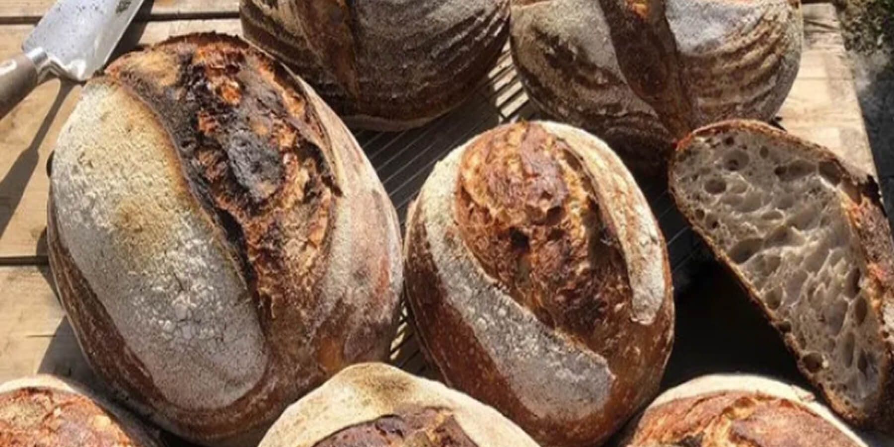 bread.jpg