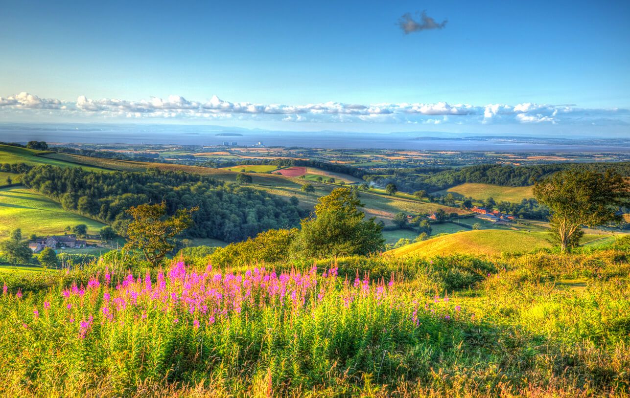 Quantock Hills 