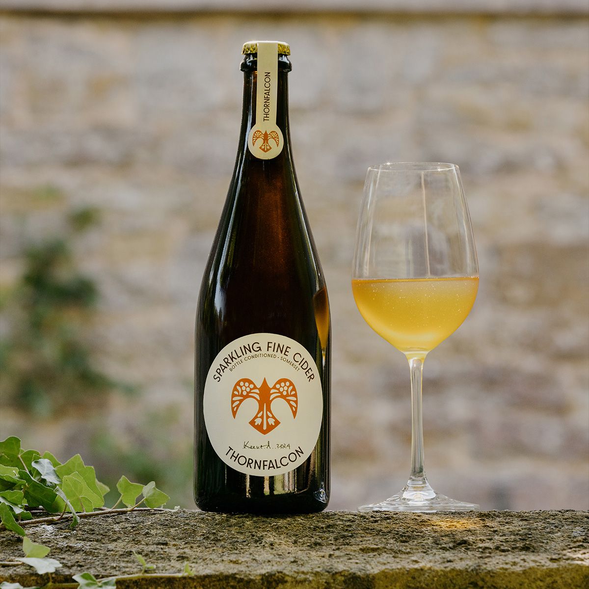 cider-1.jpg